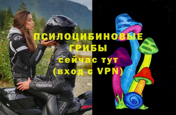 a pvp Абинск