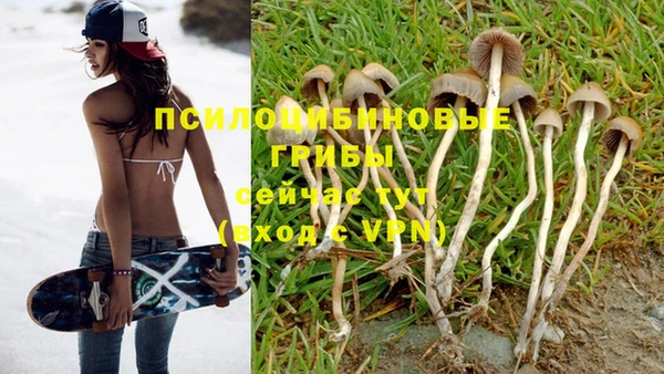 a pvp Абинск
